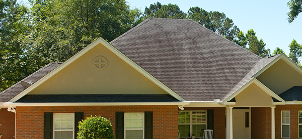 Roof Check Up