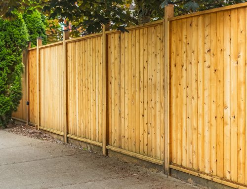 Wood Fence